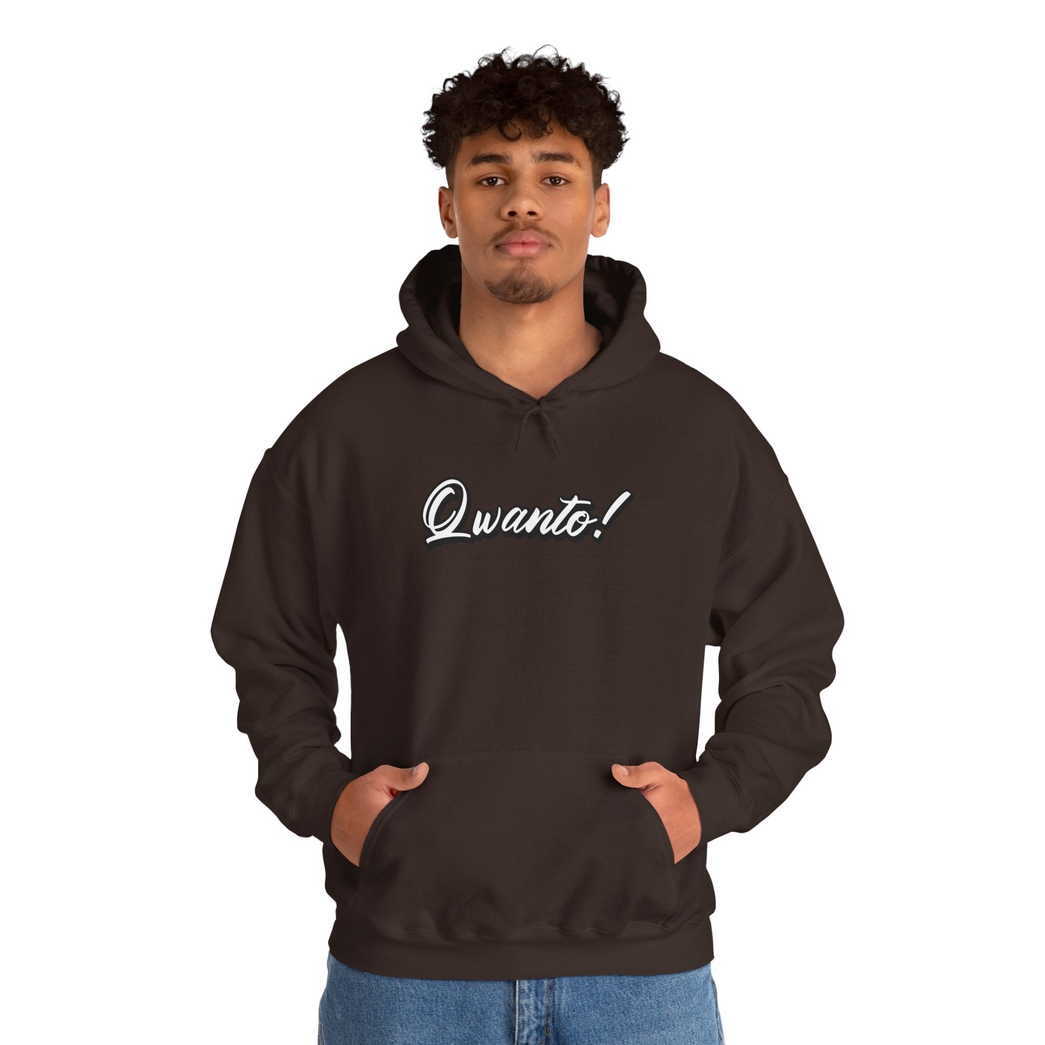 Qwanto ! Hoodie | Unisex Vintage Apparel