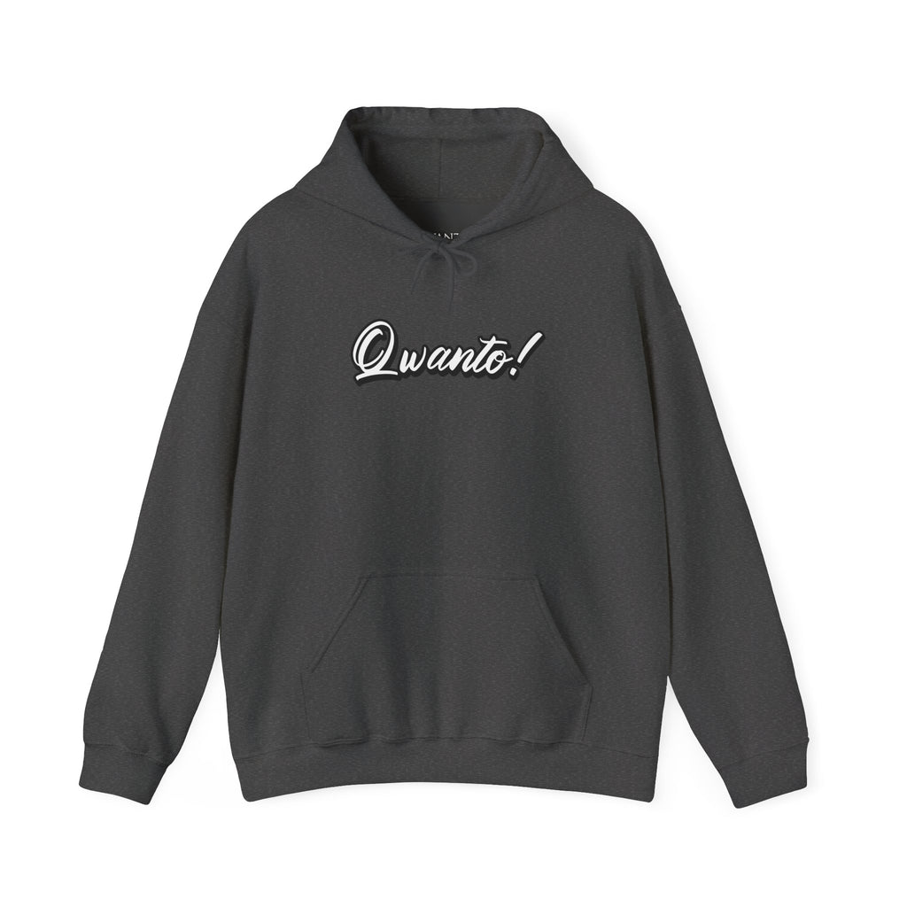Qwanto ! Hoodie | Unisex Vintage Apparel
