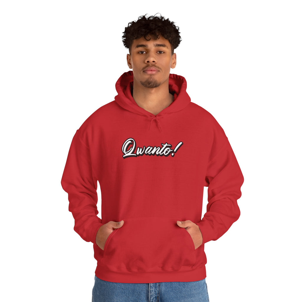 Qwanto ! Hoodie | Unisex Vintage Apparel