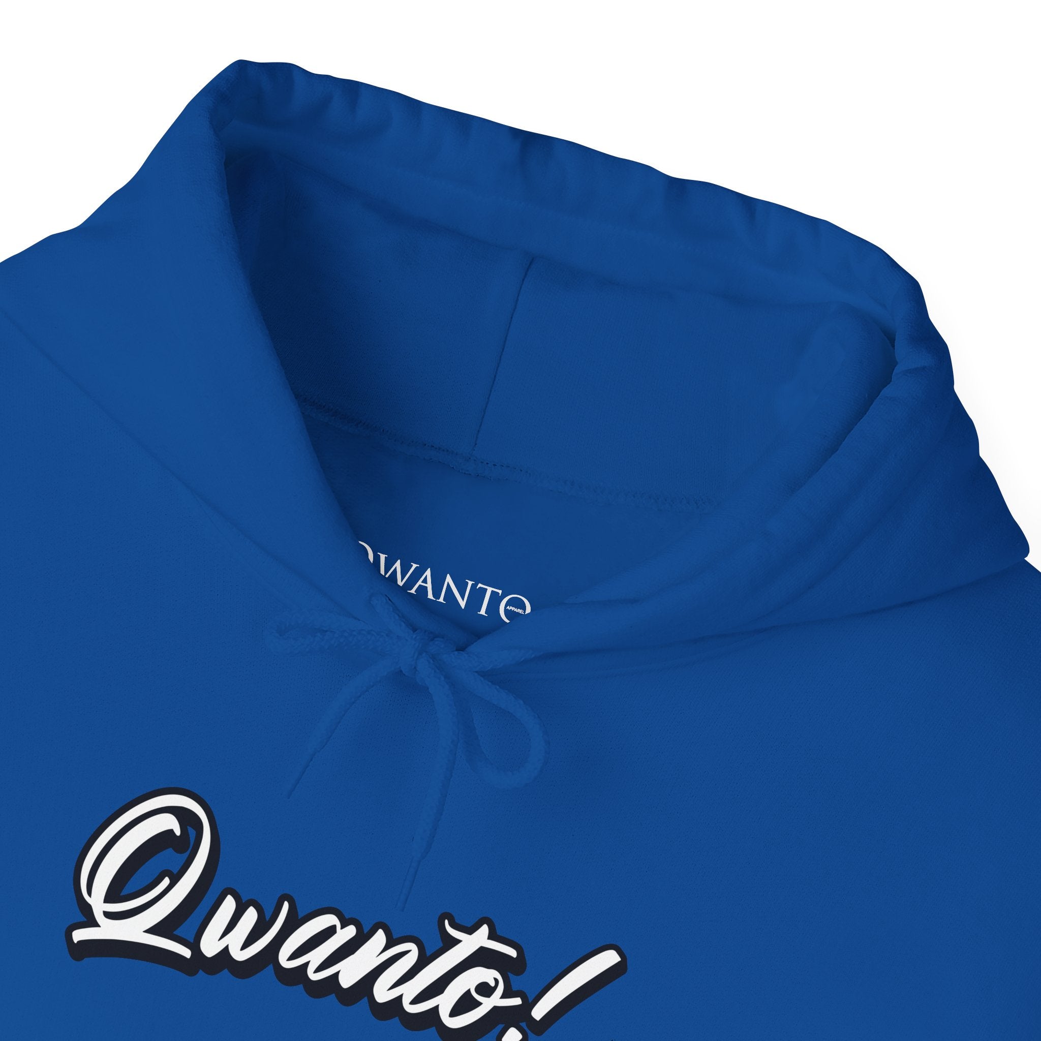Qwanto ! Hoodie | Unisex Vintage Apparel