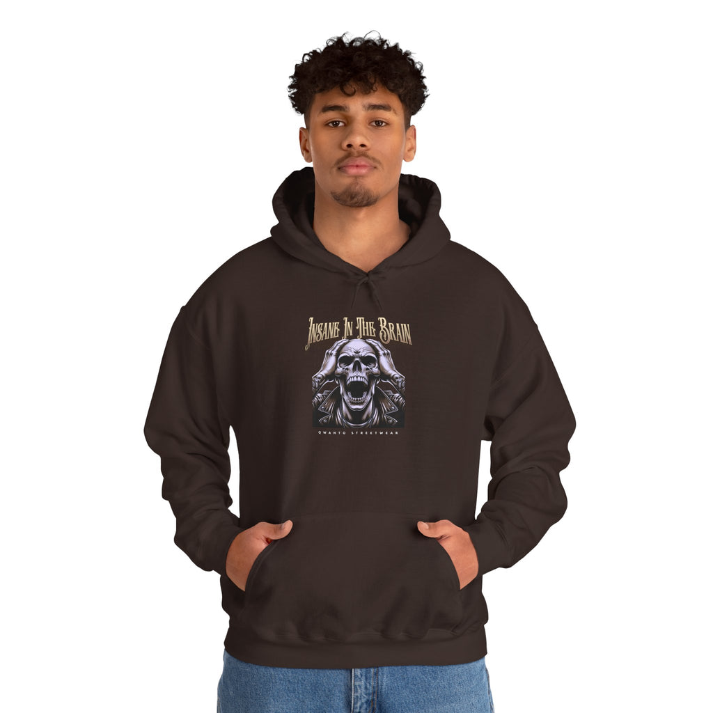 Insane In The Brain Hoodie | Unisex Vintage Apparel