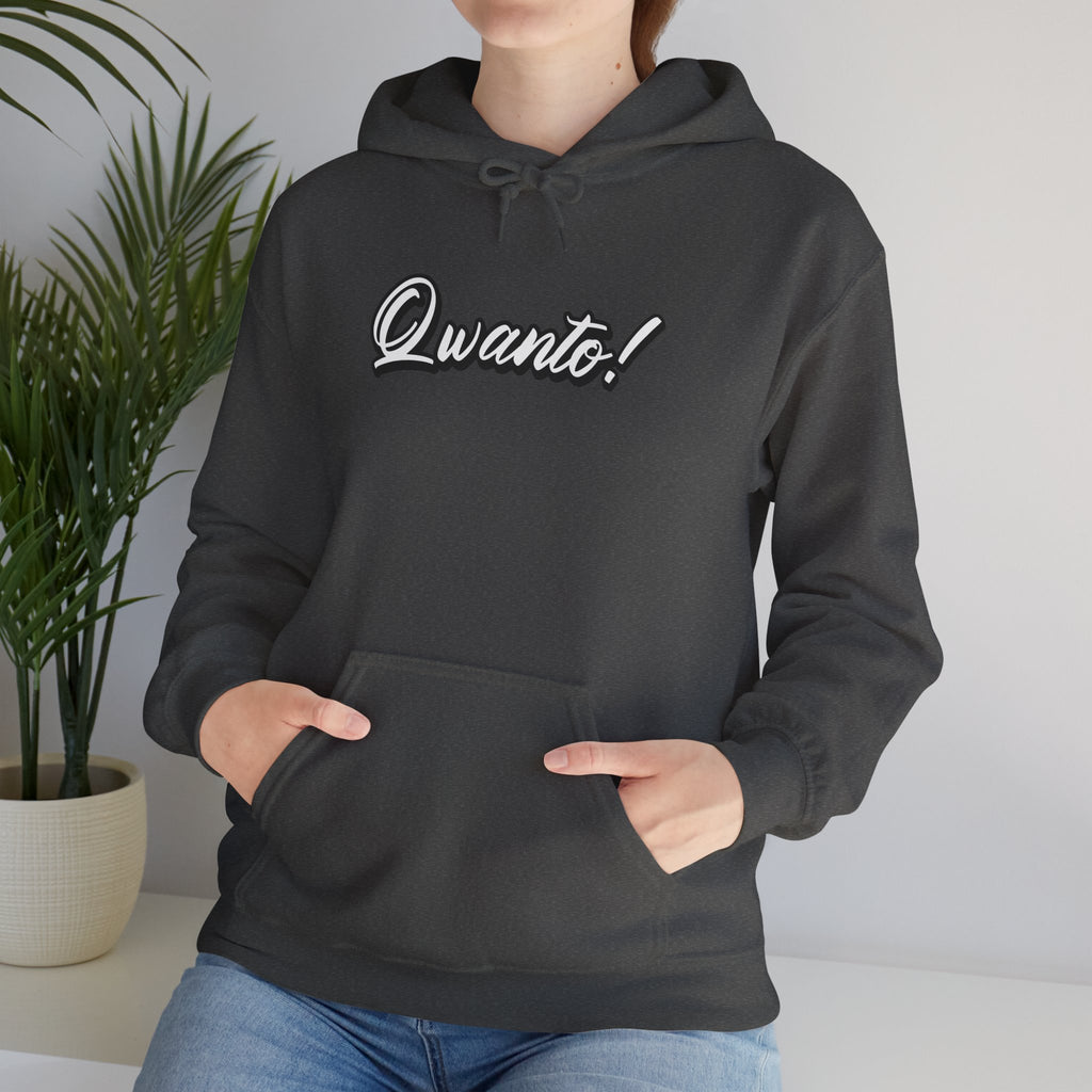 Qwanto ! Hoodie | Unisex Vintage Apparel