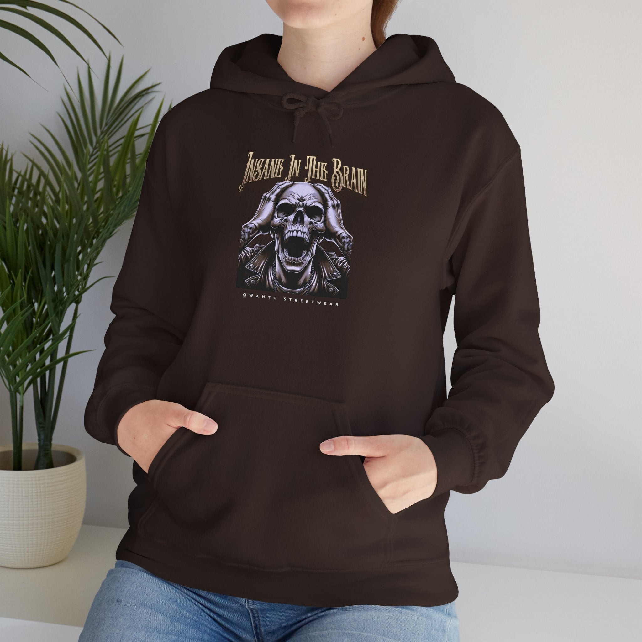Insane In The Brain Hoodie | Unisex Vintage Apparel