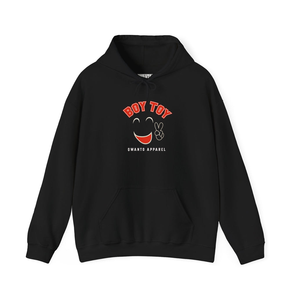 Boy Toy Hoodie | Unisex Vintage Apparel