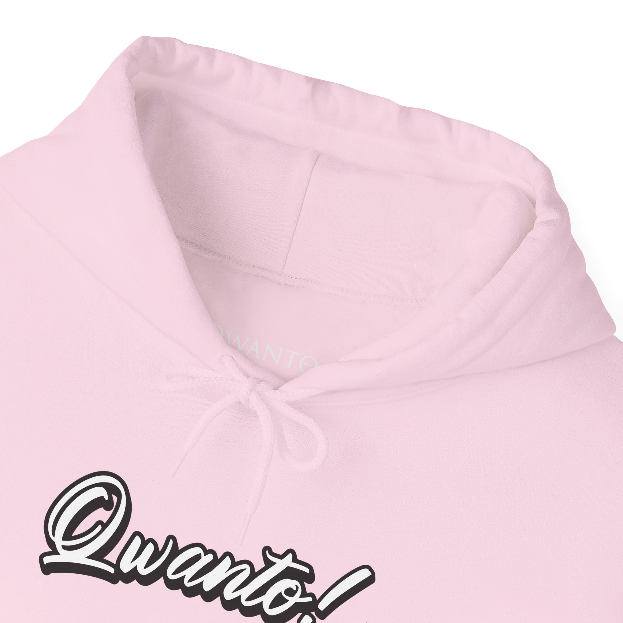 Qwanto ! Hoodie | Unisex Vintage Apparel