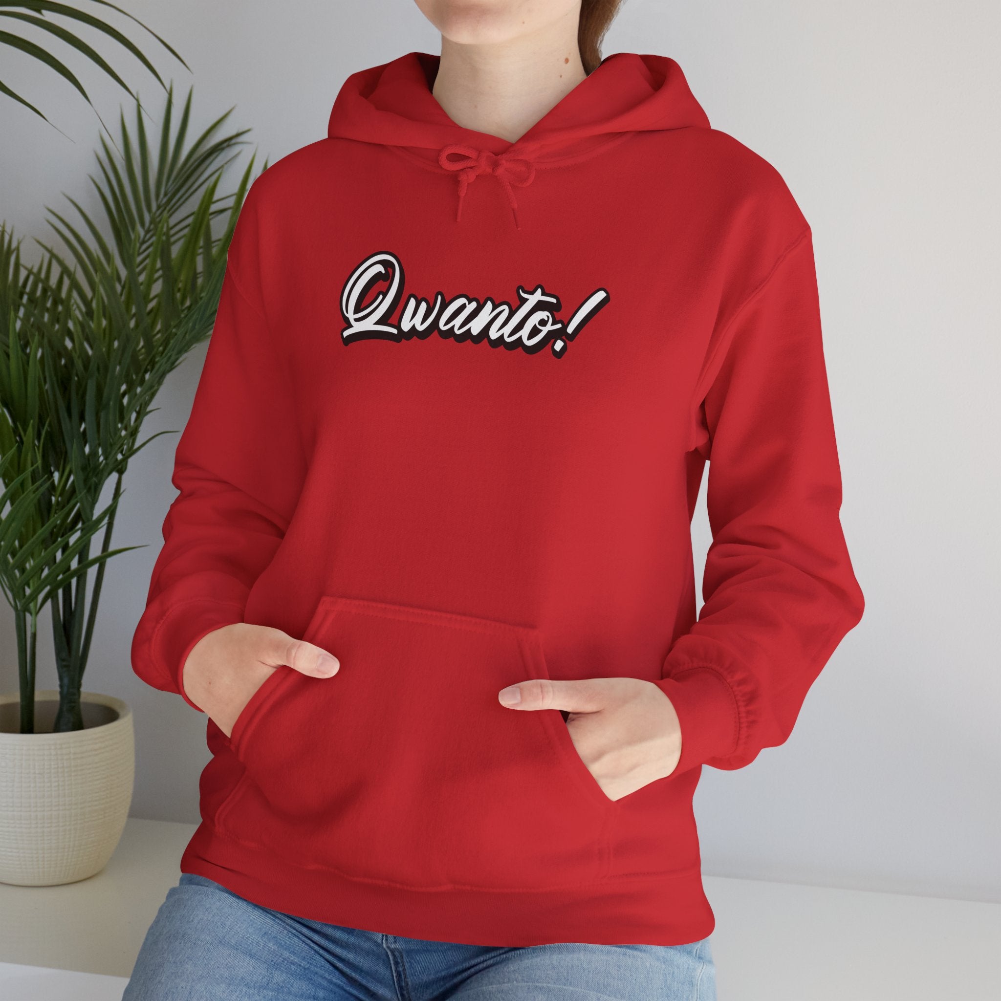 Qwanto ! Hoodie | Unisex Vintage Apparel