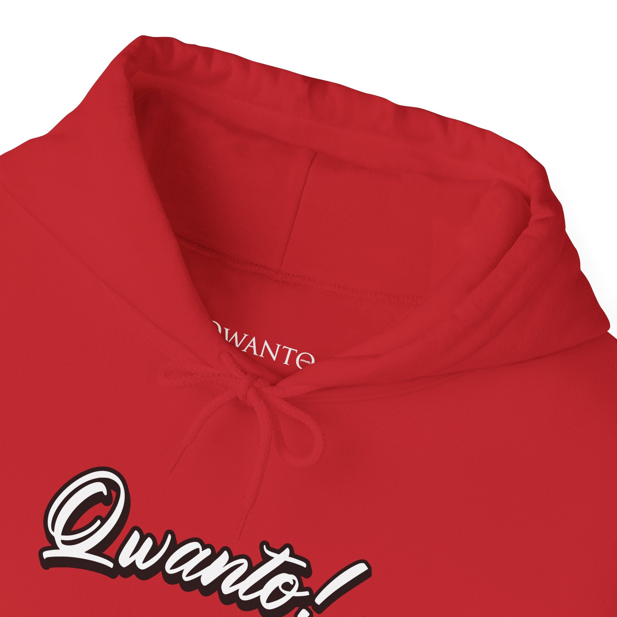 Qwanto ! Hoodie | Unisex Vintage Apparel