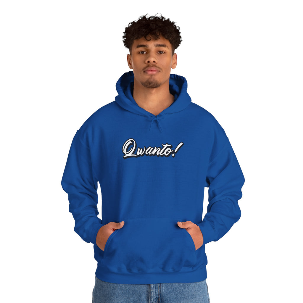 Qwanto ! Hoodie | Unisex Vintage Apparel