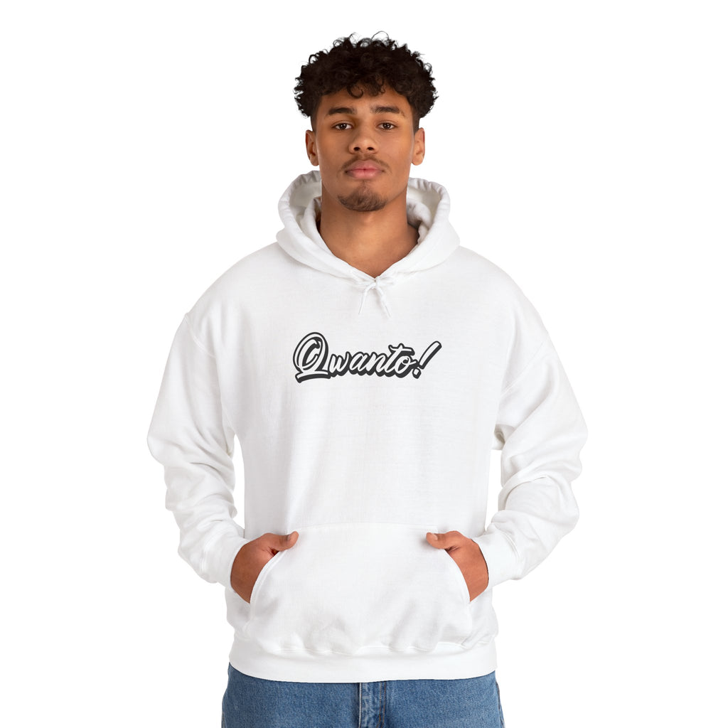 Qwanto ! Hoodie | Unisex Vintage Apparel