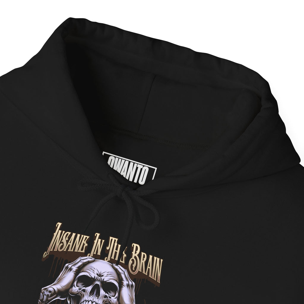 Insane In The Brain Hoodie | Unisex Vintage Apparel