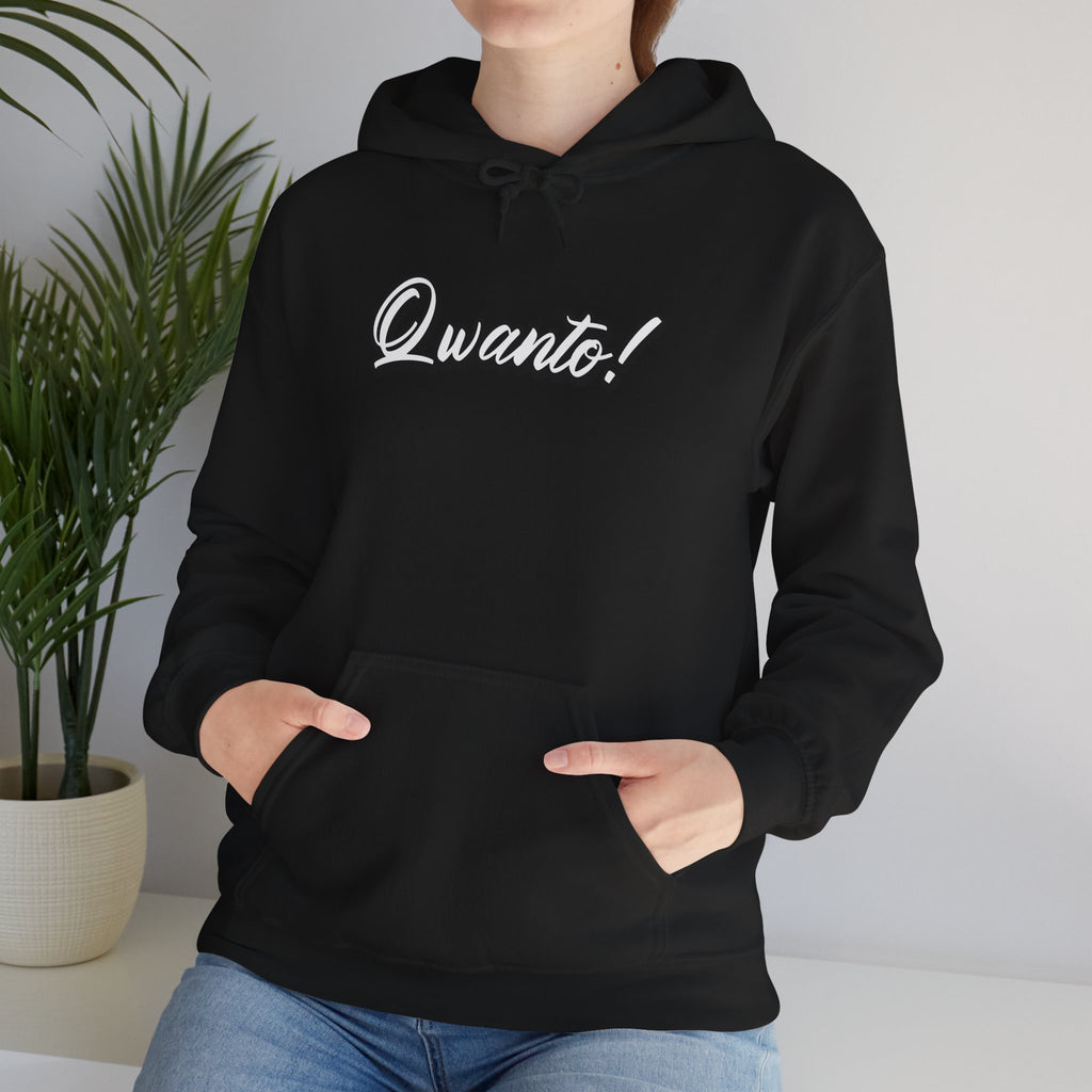 Qwanto ! Hoodie | Unisex Vintage Apparel