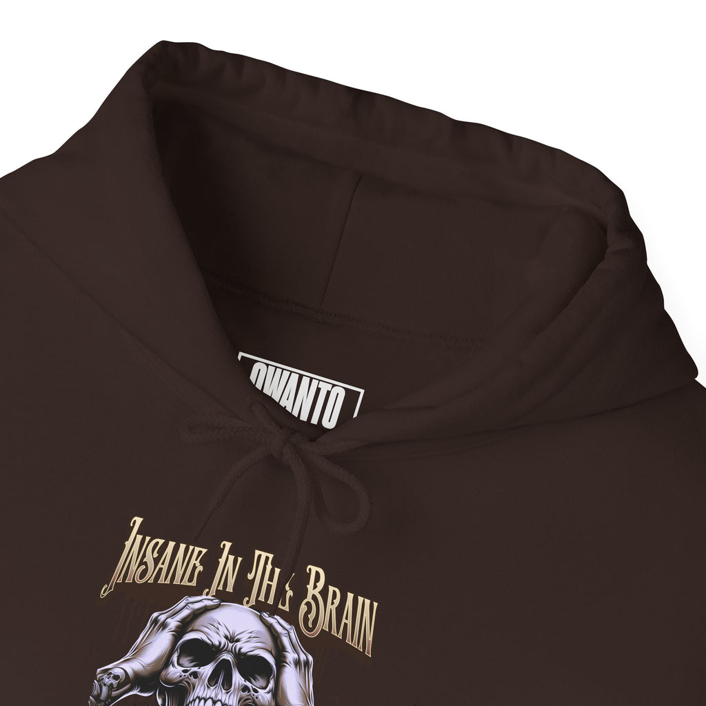 Insane In The Brain Hoodie | Unisex Vintage Apparel