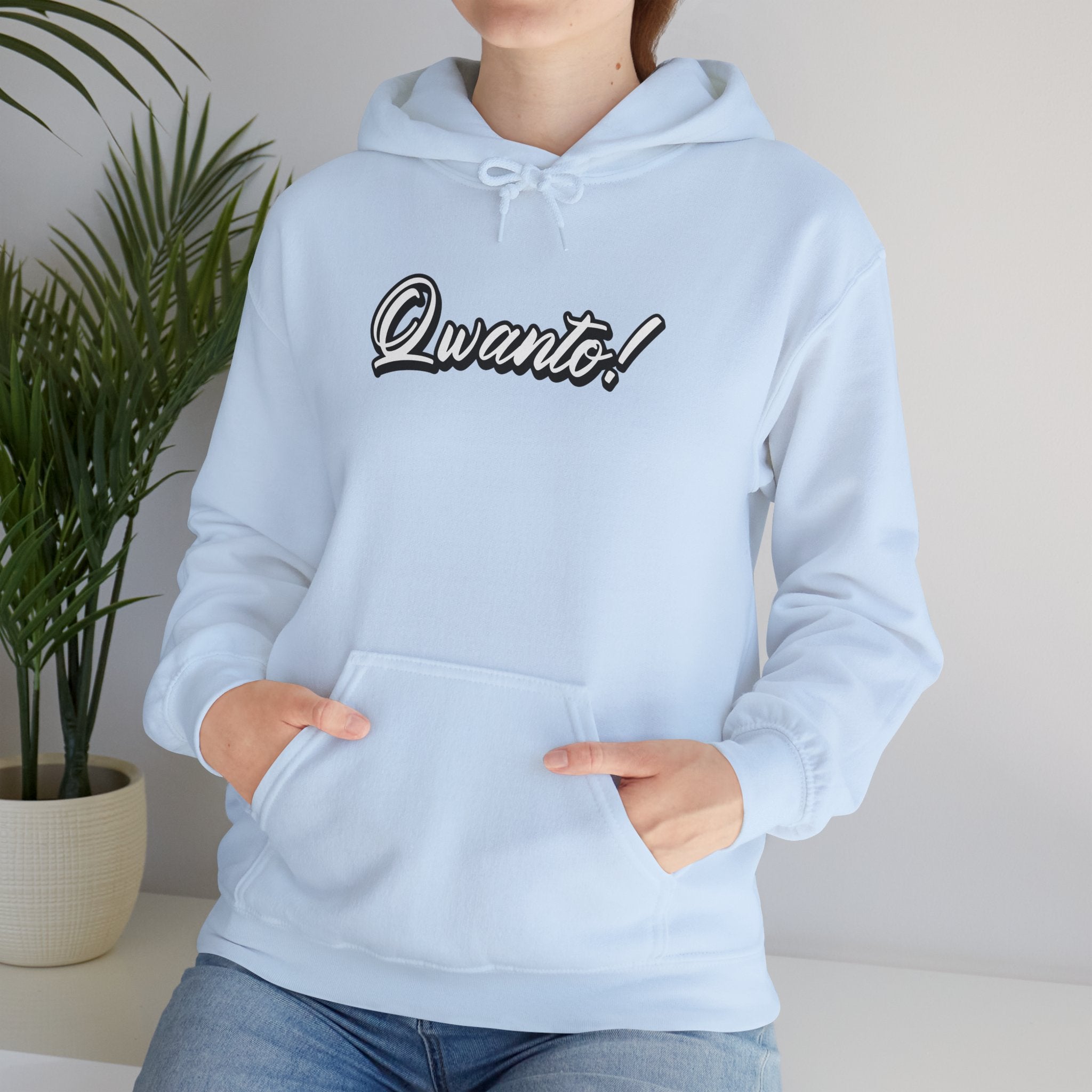 Qwanto ! Hoodie | Unisex Vintage Apparel