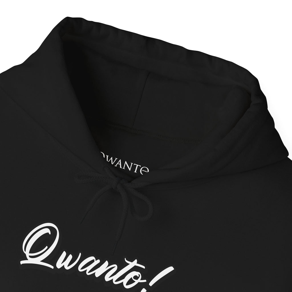 Qwanto ! Hoodie | Unisex Vintage Apparel