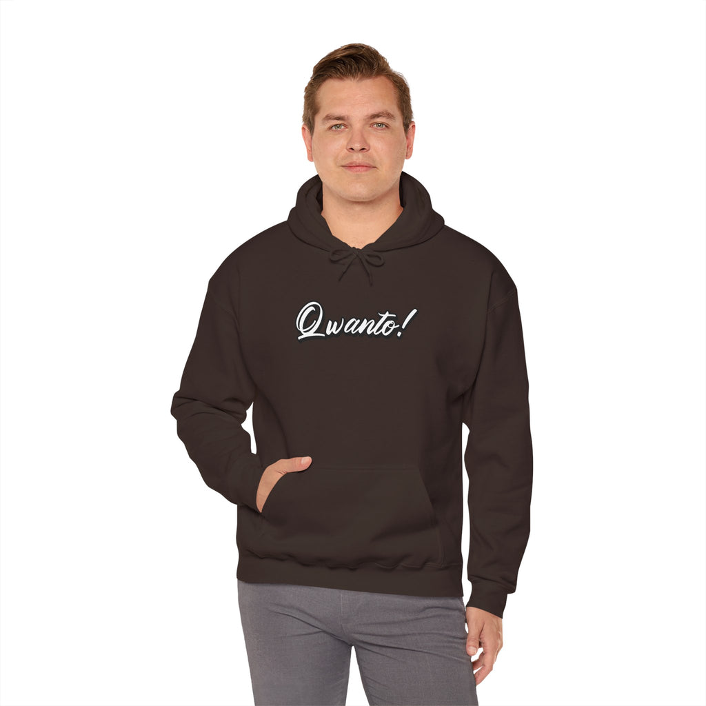 Qwanto ! Hoodie | Unisex Vintage Apparel