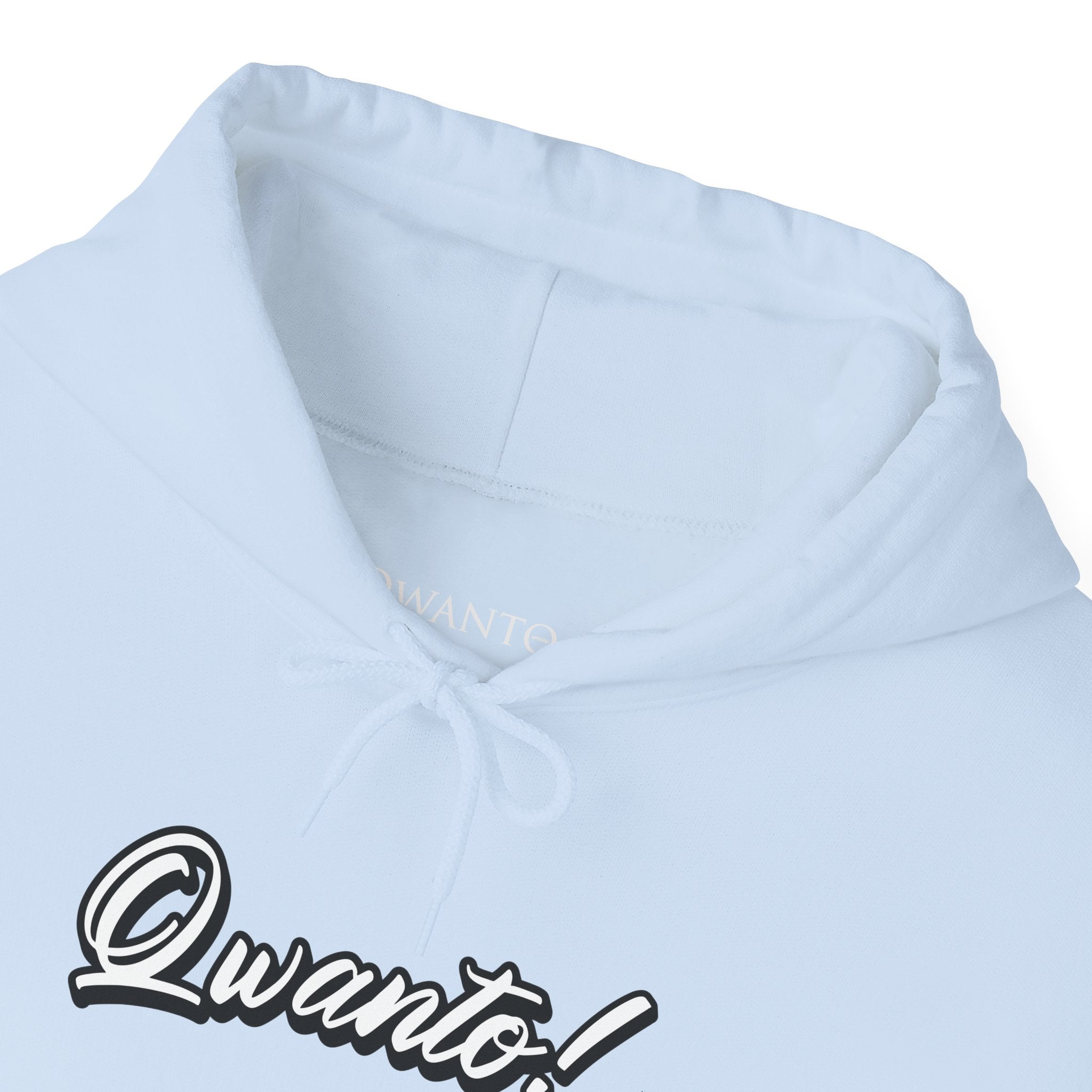 Qwanto ! Hoodie | Unisex Vintage Apparel