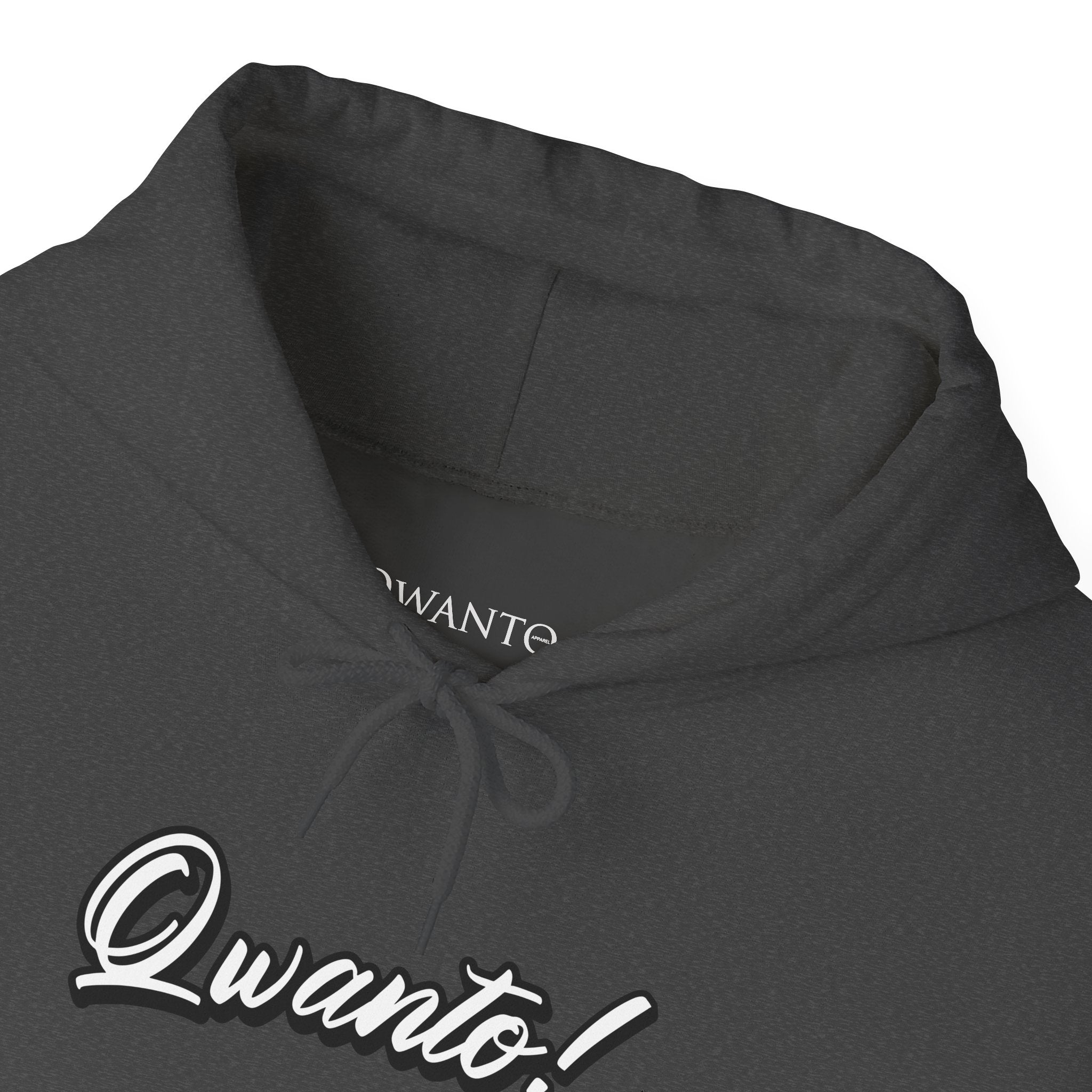 Qwanto ! Hoodie | Unisex Vintage Apparel