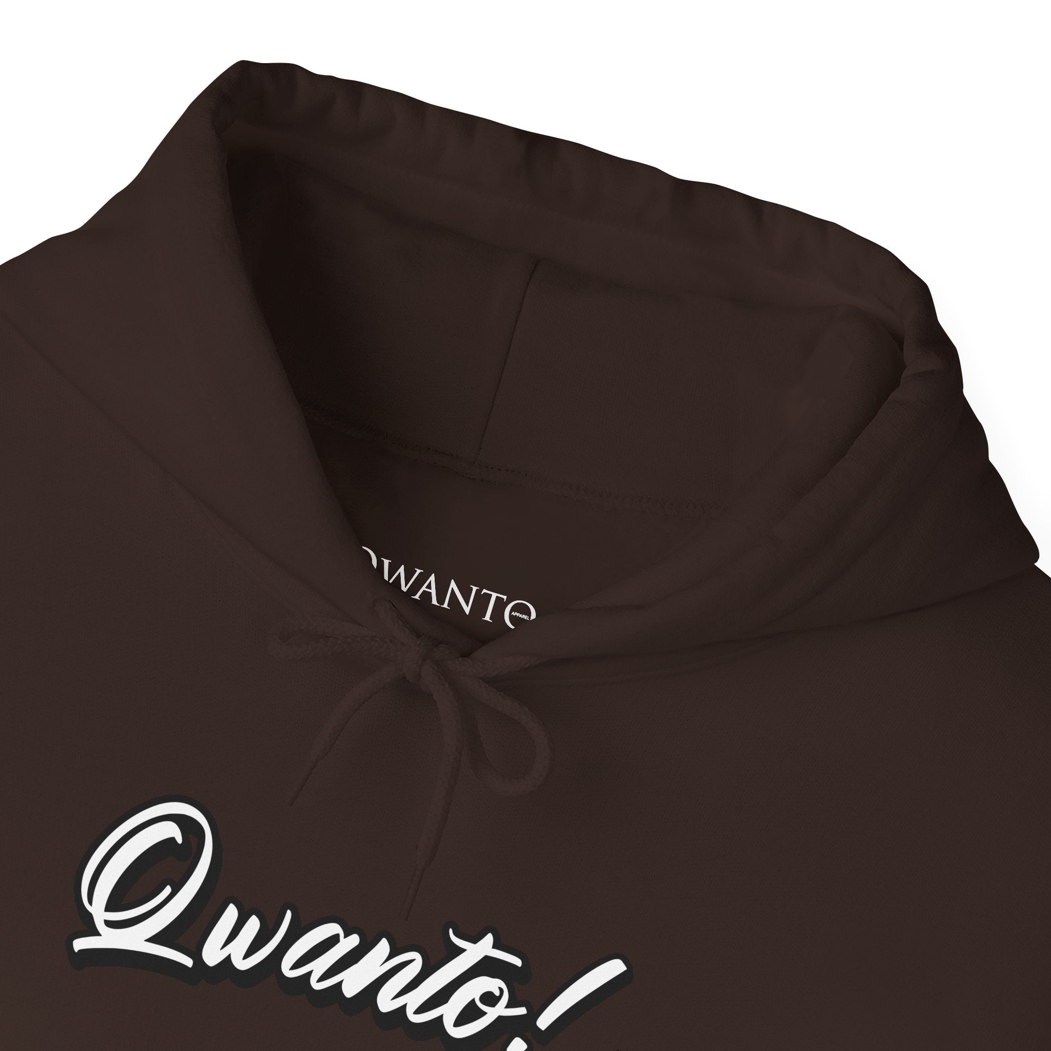 Qwanto ! Hoodie | Unisex Vintage Apparel