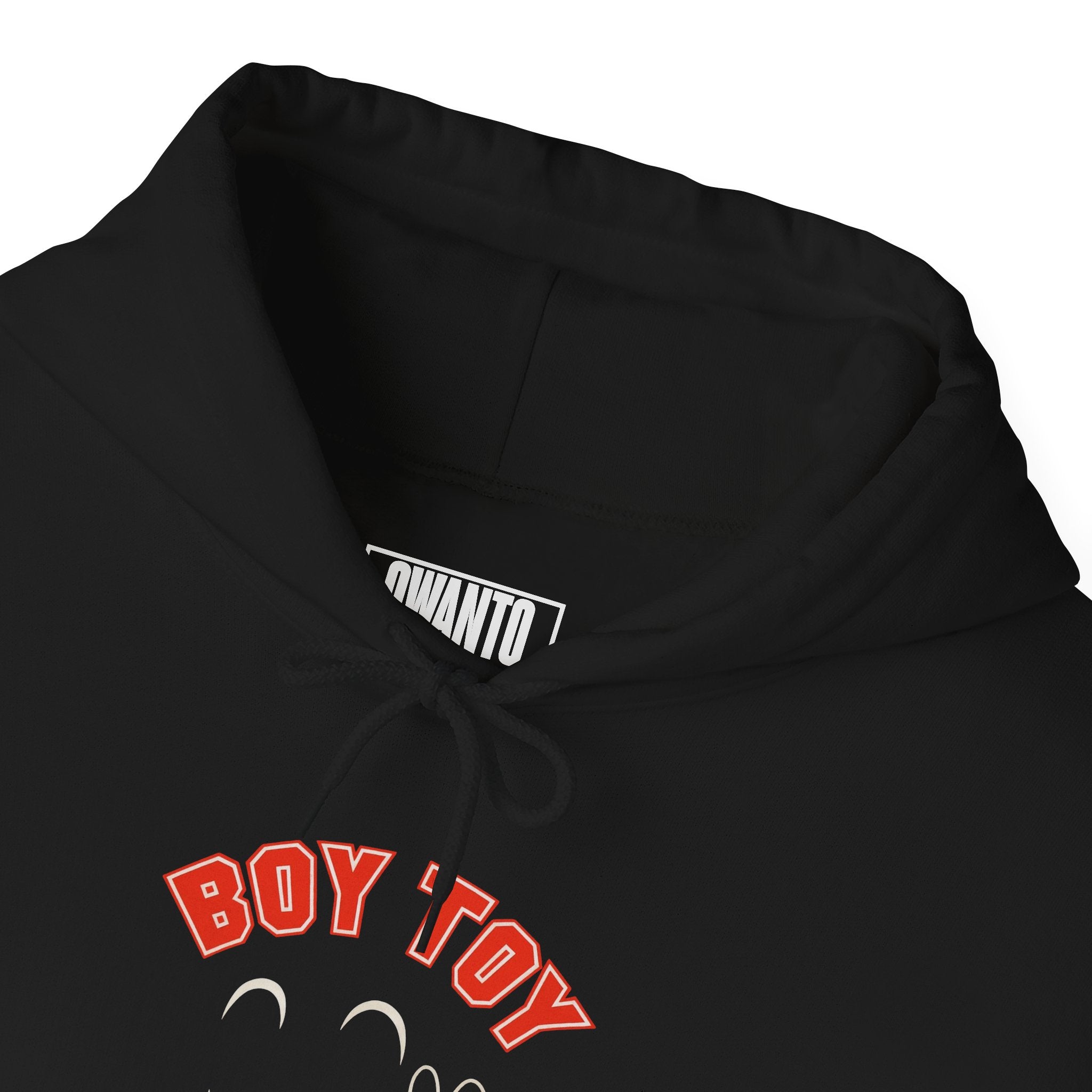 Boy Toy Hoodie | Unisex Vintage Apparel